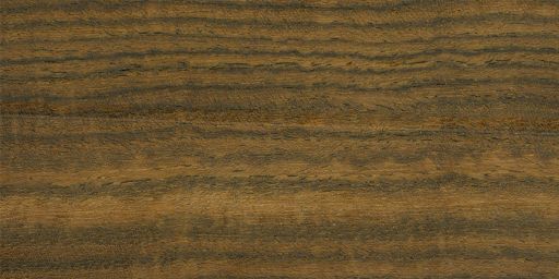 Bocote_02.jpg