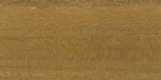 Teak_01.jpg
